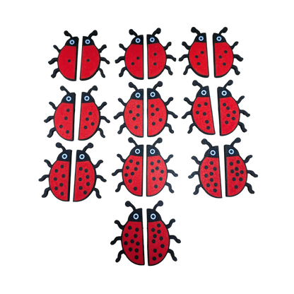 Ladybird Subitising pairs image 0