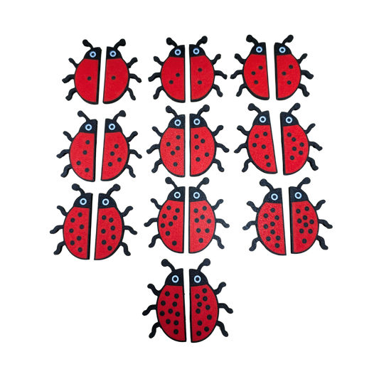 Ladybird Subitising pairs image 0