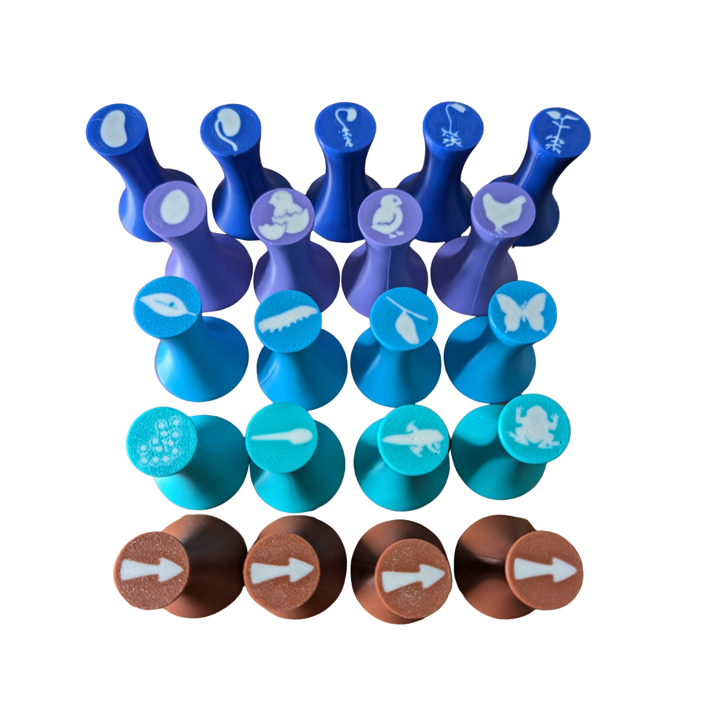 Life cycles playdough stamps image 0