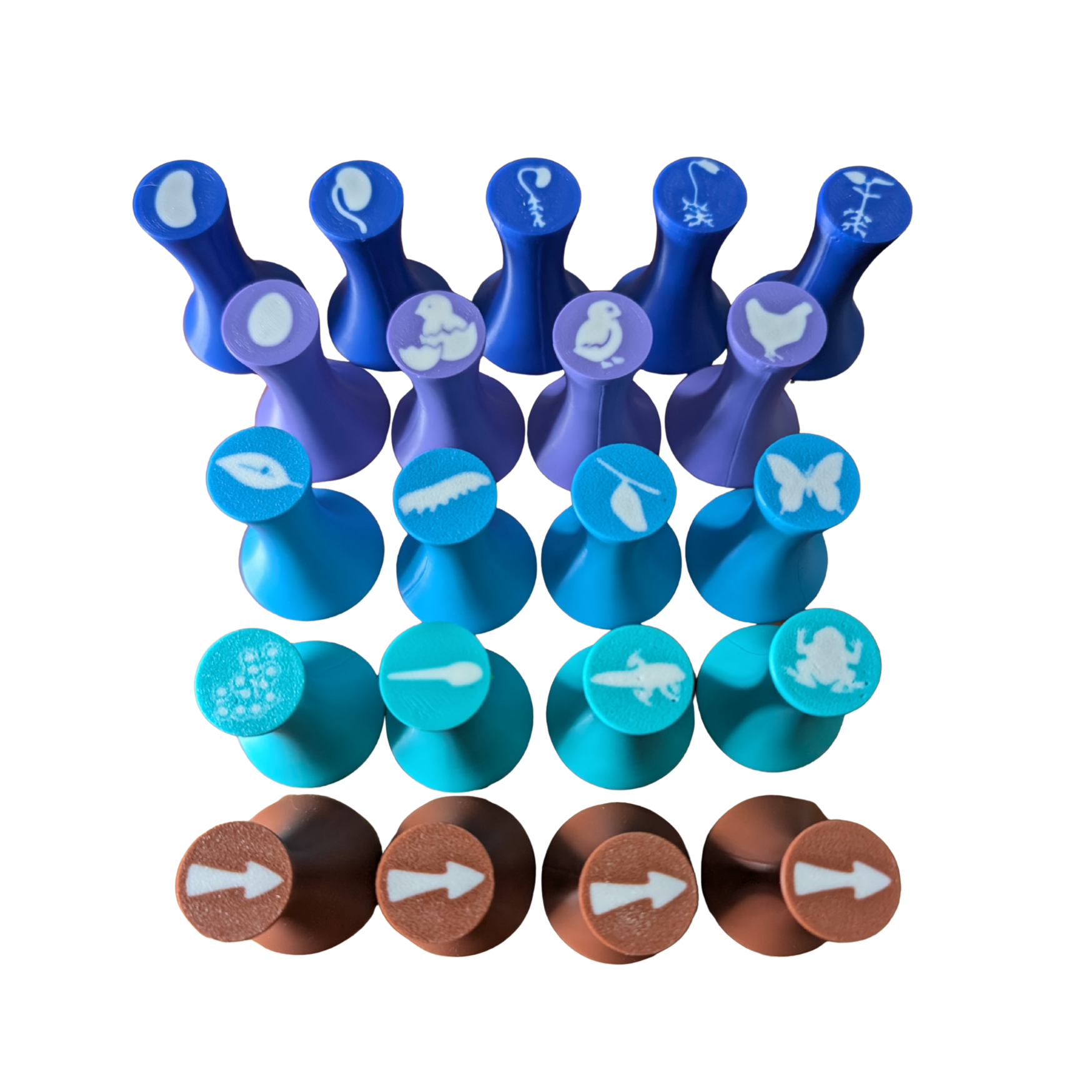 Life cycles playdough stamps image 0