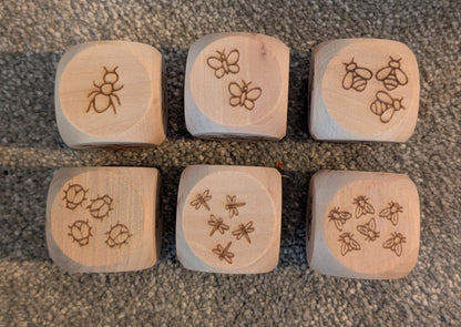 Wooden Dice - Counting bugs image