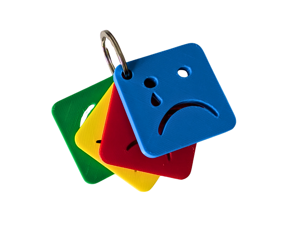 Zones of Regulation keyring image 0