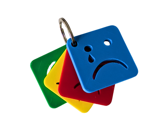 Zones of Regulation keyring image 0
