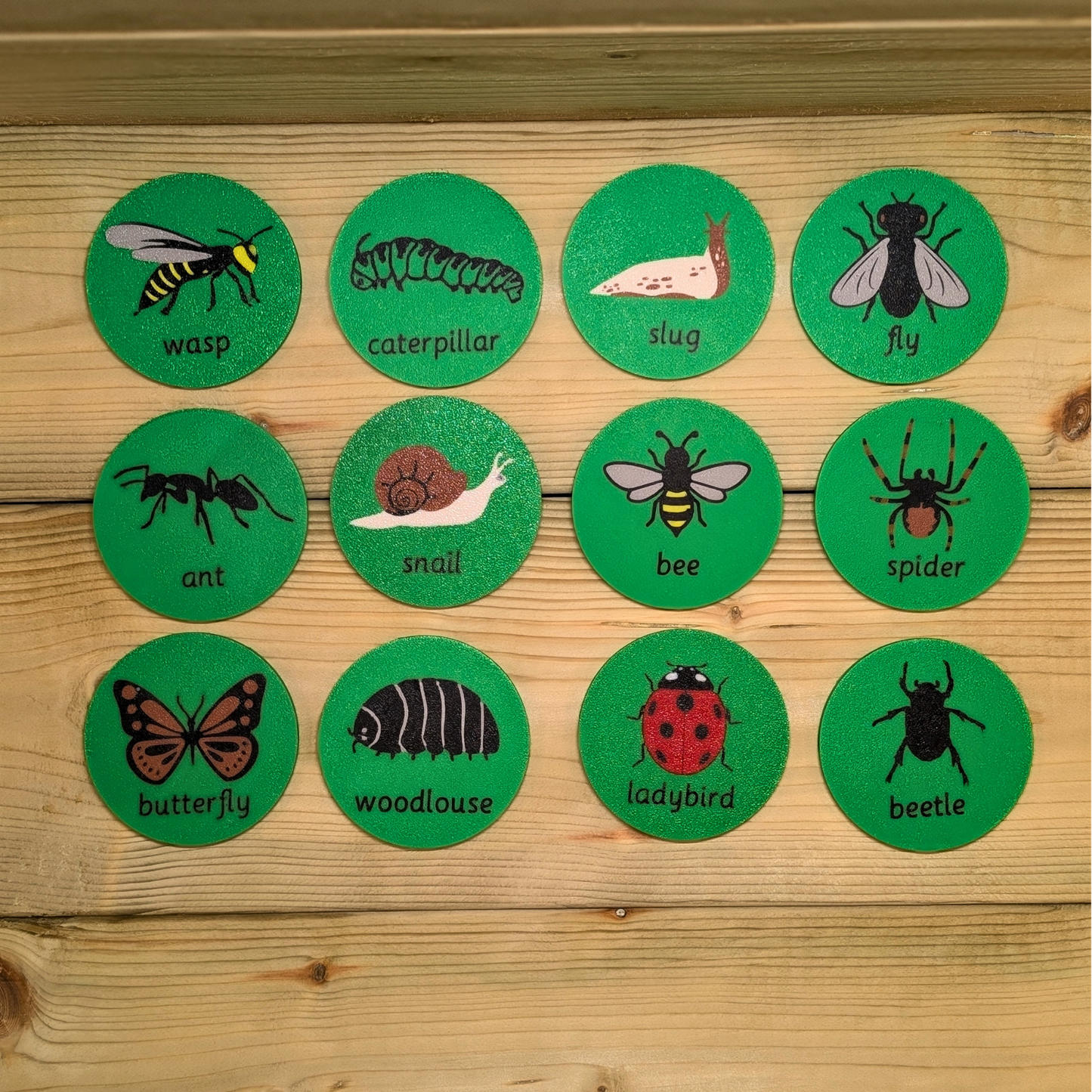 Minibeast Flashdiscs image 1