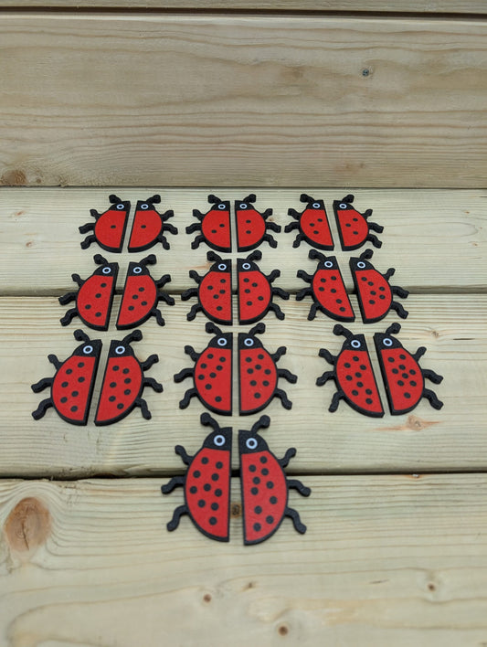 Ladybird Subitising pairs image 1