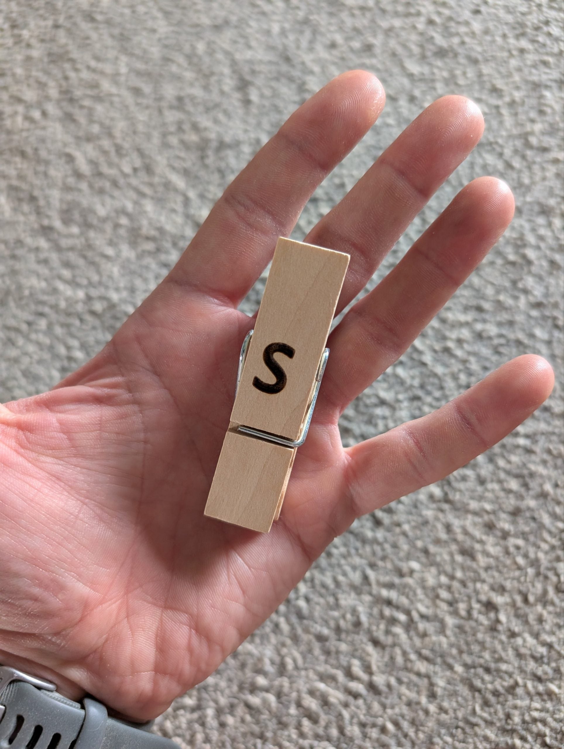 Large pegs image 1